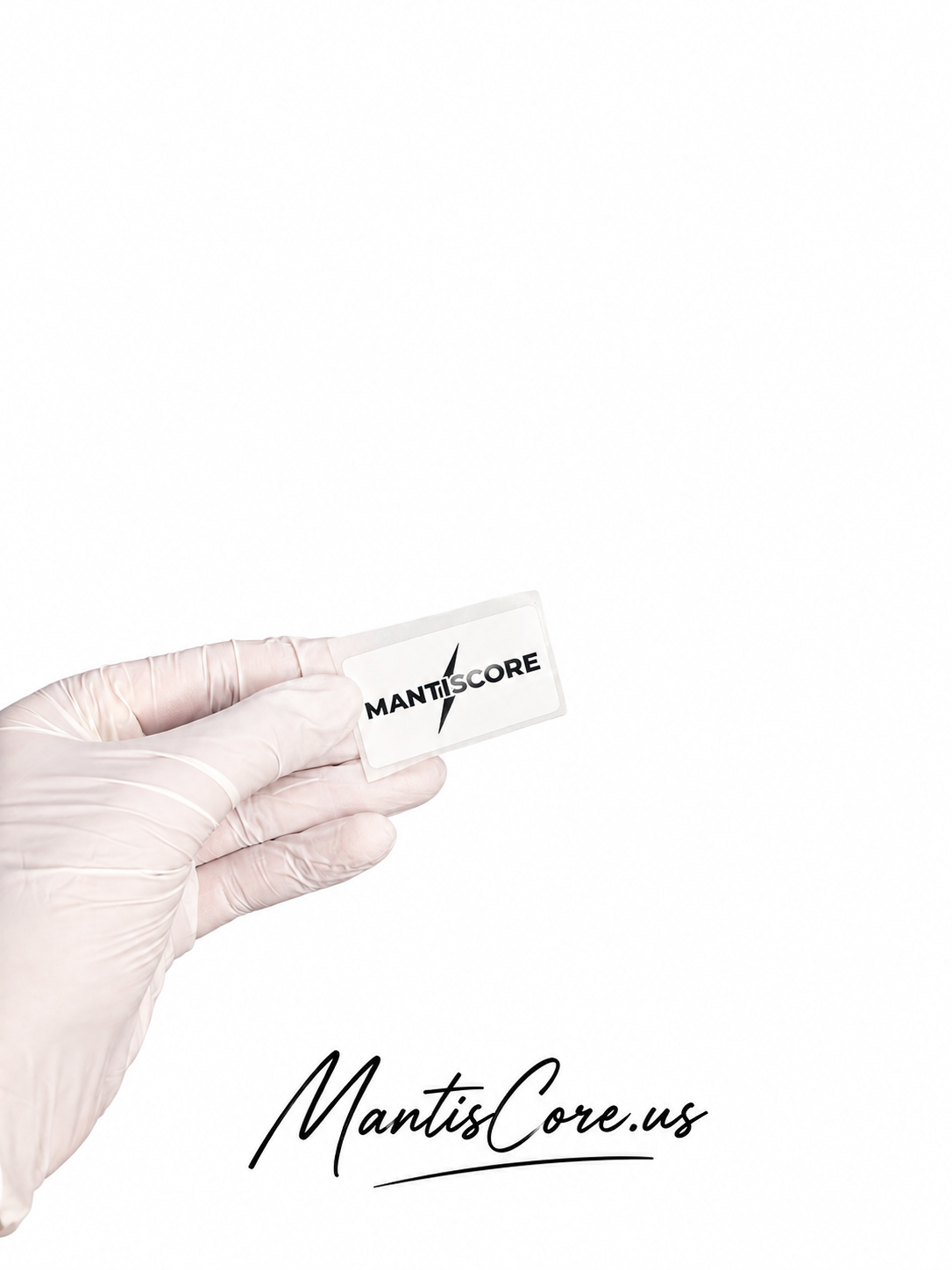 Mantiscore keychain and sticker combo