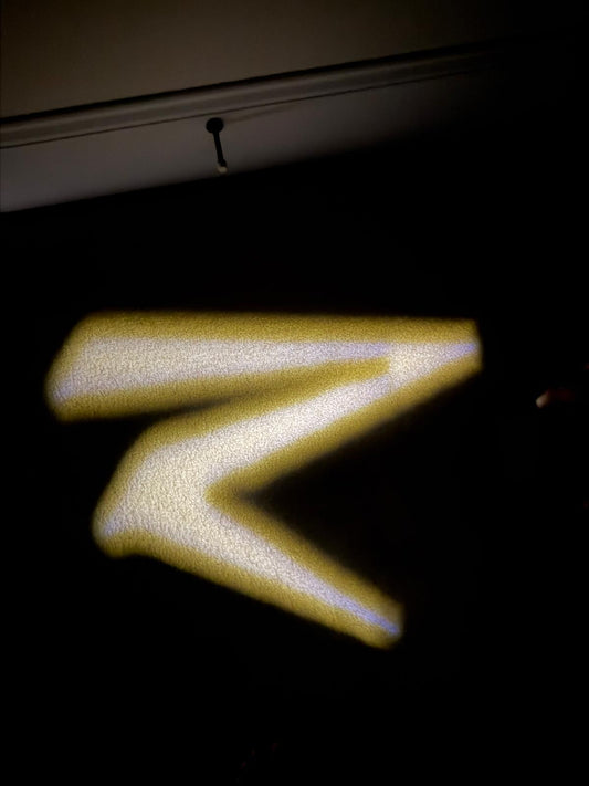 Rawrr Mantis Logo Light