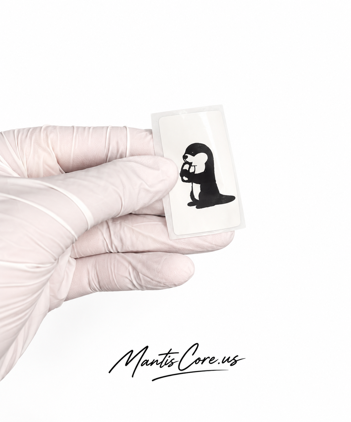 Mantiscore keychain and sticker combo